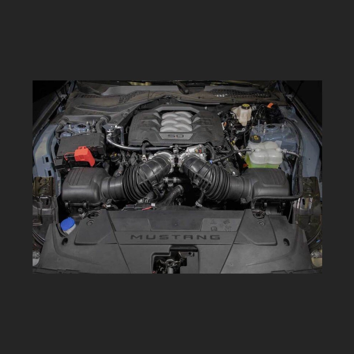 K&N Engineering K&N 2024 Ford Mustang Catch Can / Oil Separator, installed