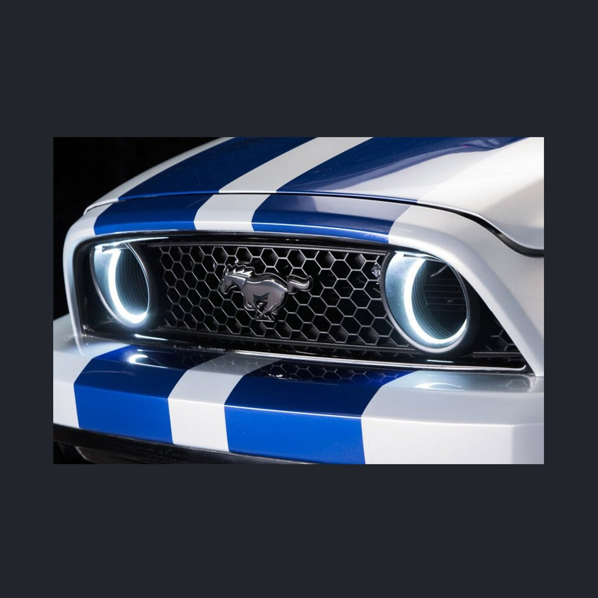 ORACLE Lighting Oracle Ford Mustang 10-13 WP LED Fog Halo Kit (Grille Style) - White, installed