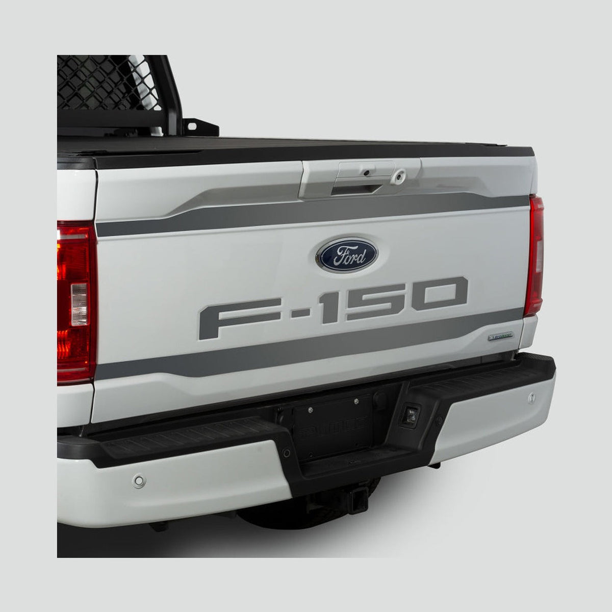 Putco Putco 2021 Ford F-150 Ford Lettering (Cut Letters/Stainless Steel) Tailgate Emblems, installed