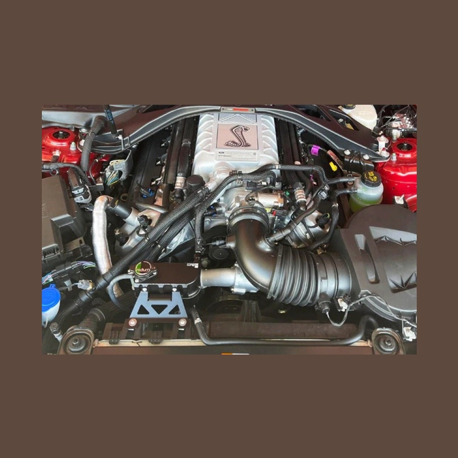 Radium Engineering Radium Engineering 2015+ Ford Mustang GT / Boss 302 / V6 Coolant Tank Kit