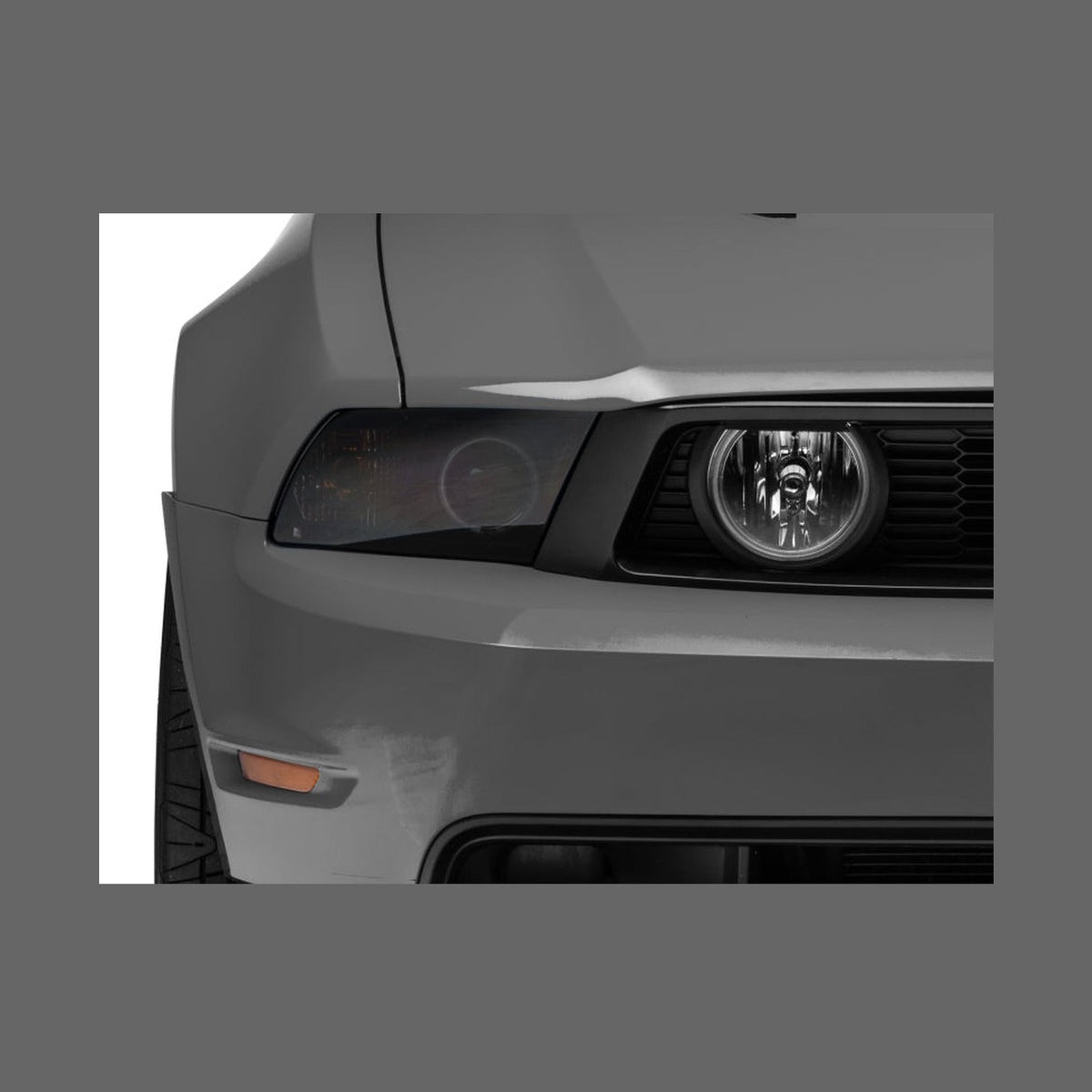 Raxiom Raxiom 05-12 Ford Mustang GT LED Halo Fog Lights (Chrome)