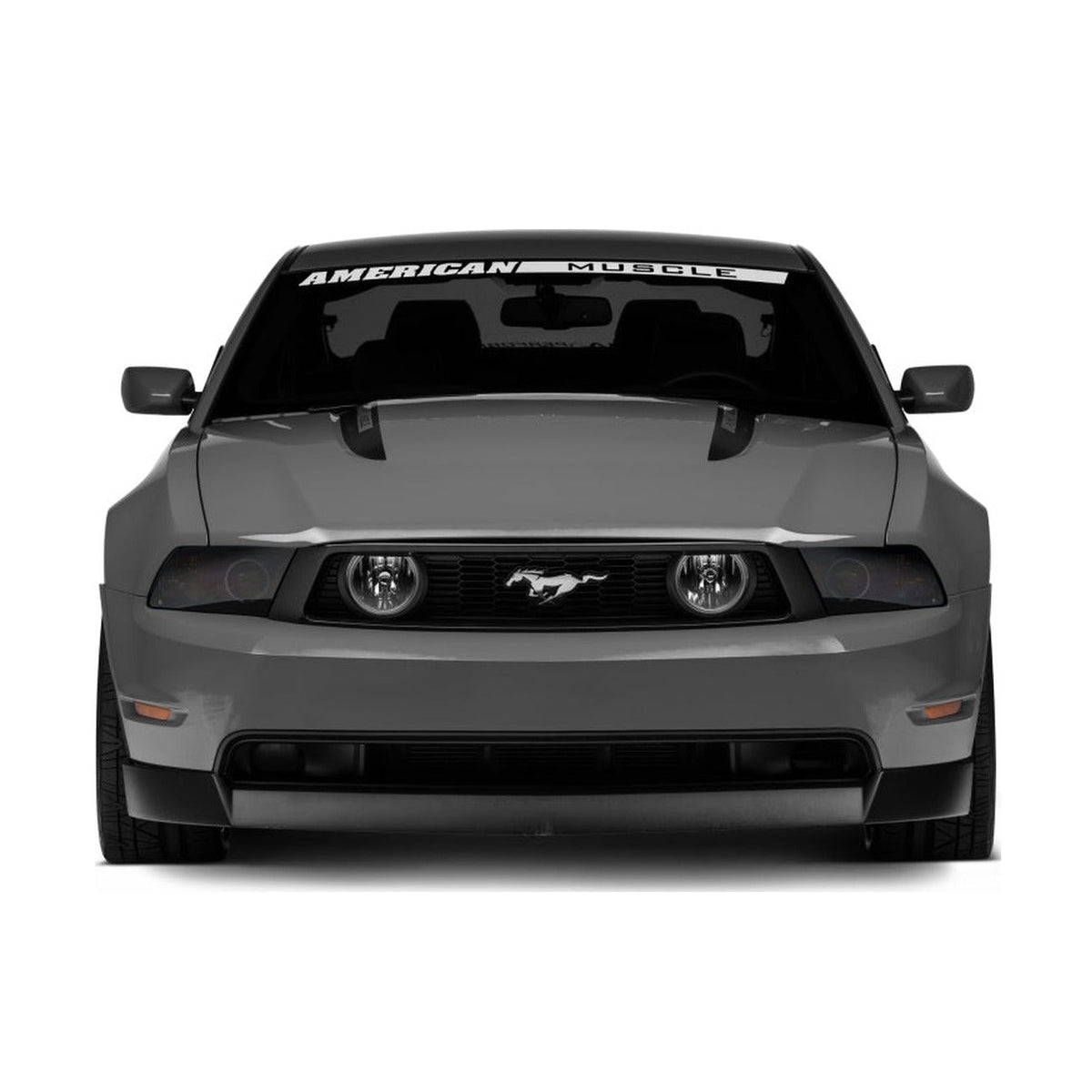 Raxiom Raxiom 05-12 Ford Mustang GT LED Halo Fog Lights (Chrome)