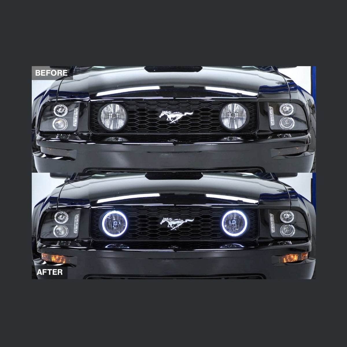Raxiom Raxiom 05-12 Ford Mustang GT LED Halo Fog Lights (Smoked)