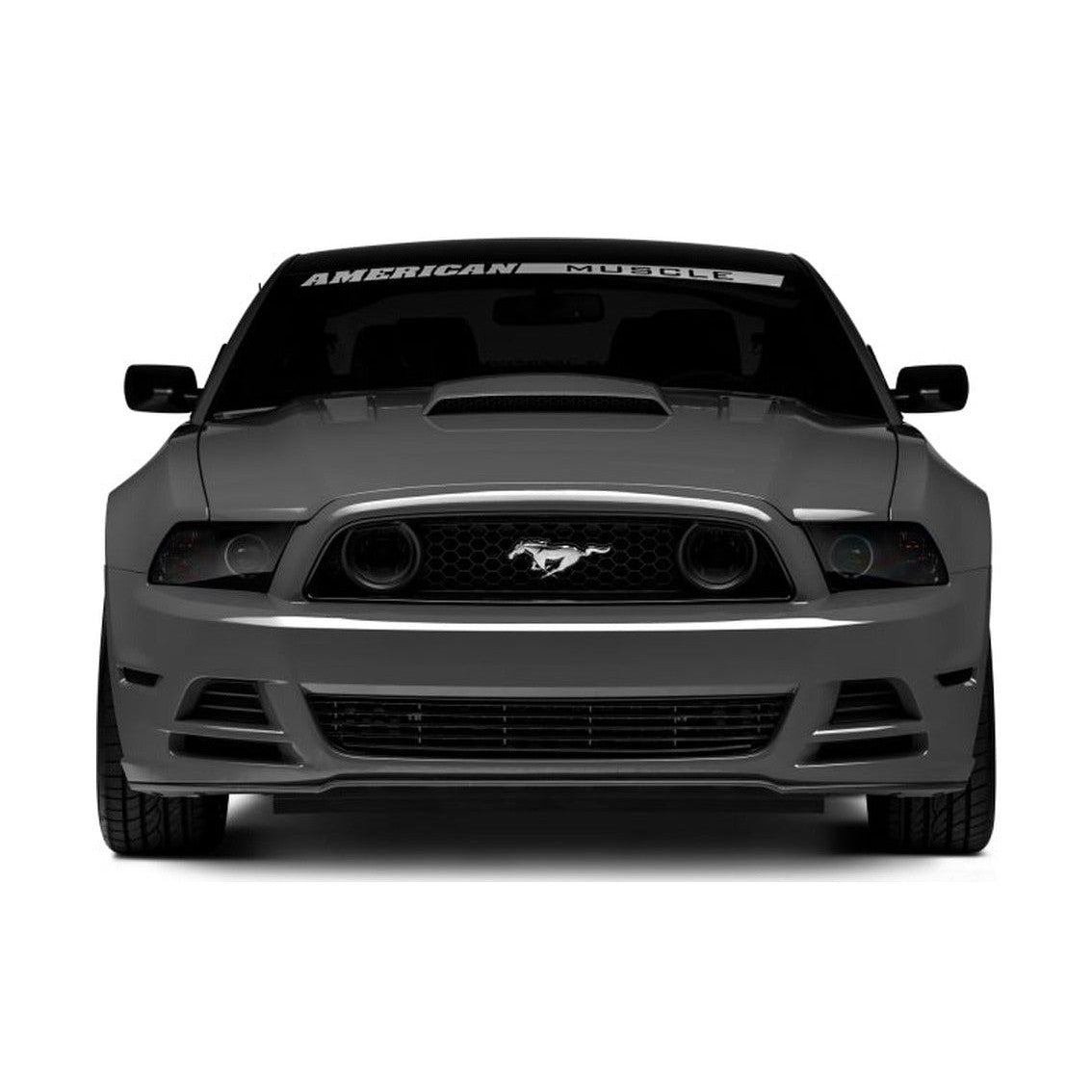 Raxiom Raxiom 13-14 Ford Mustang GT CCFL Halo Fog Lights (Smoked)