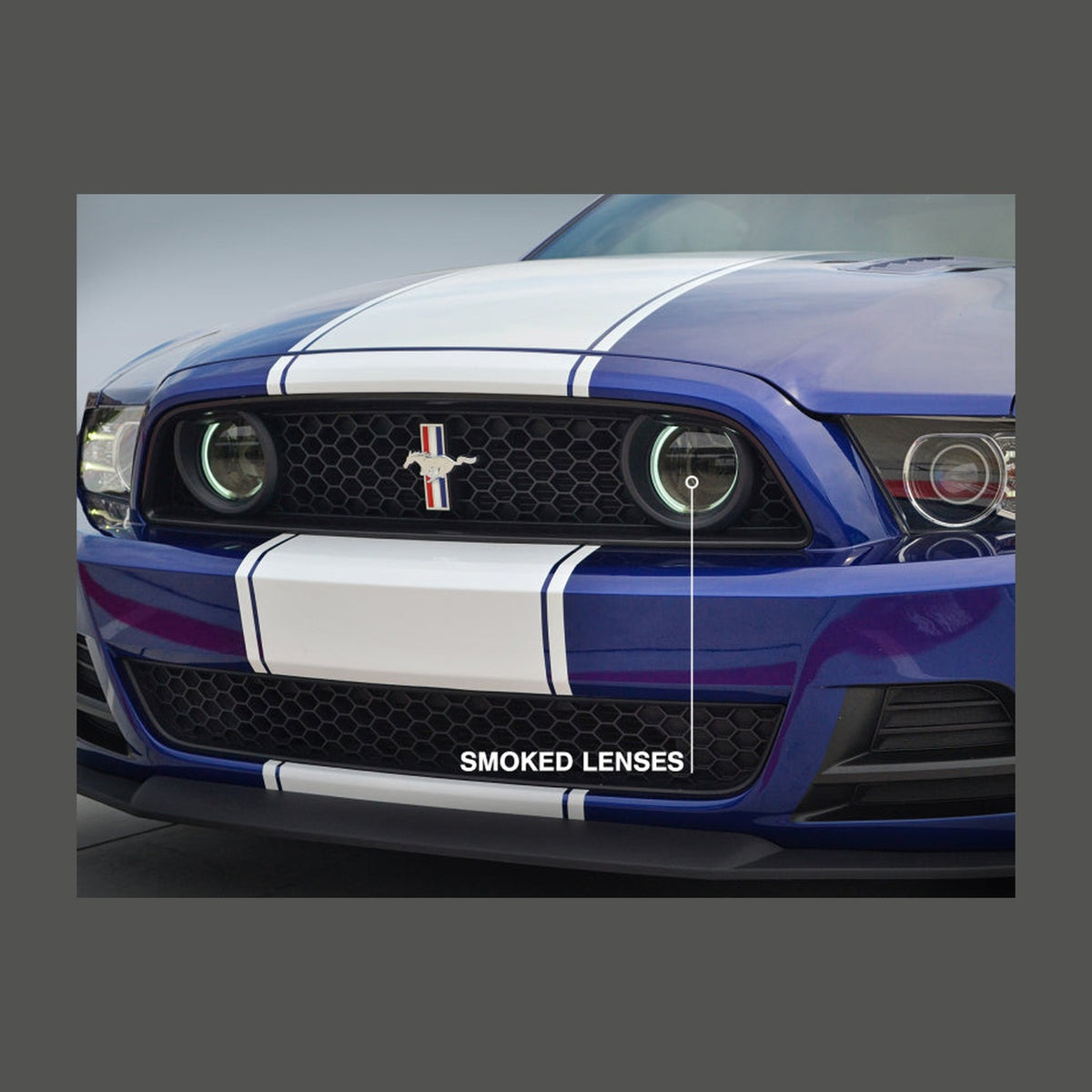 Raxiom Raxiom 13-14 Ford Mustang GT CCFL Halo Fog Lights (Smoked)