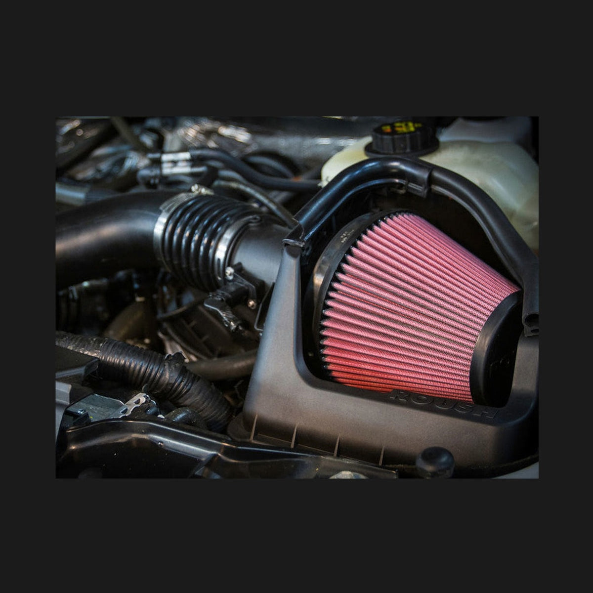 Roush Roush 2011-2014 Ford F-150 5.0L Cold Air Kit
