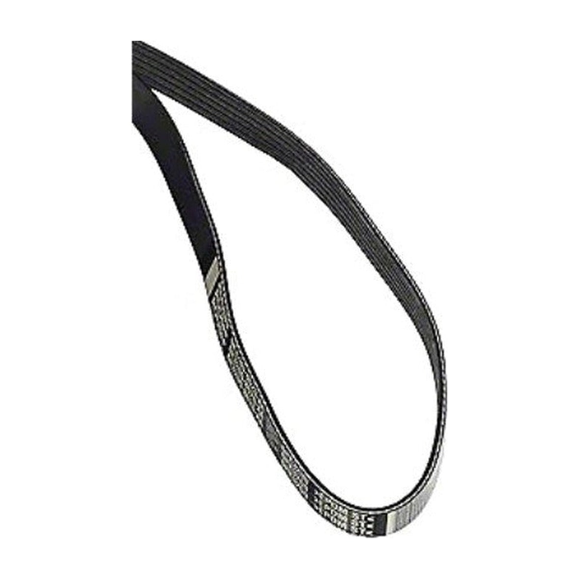 ROUSH FEAD Serpentine Belt 6K 3200 421627