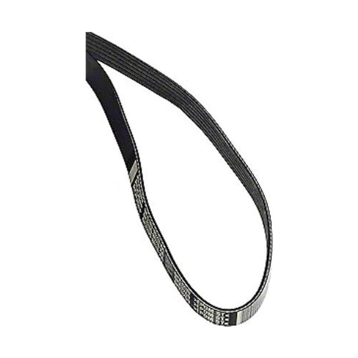 ROUSH FEAD Serpentine Belt 6K 3200 421627