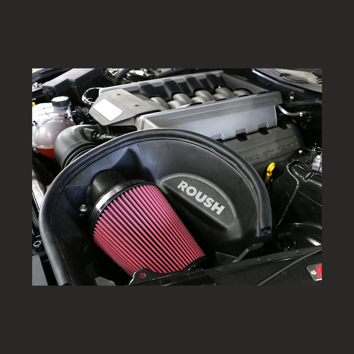Roush Roush 2015-2017 Ford Mustang 5.0L Cold Air Kit