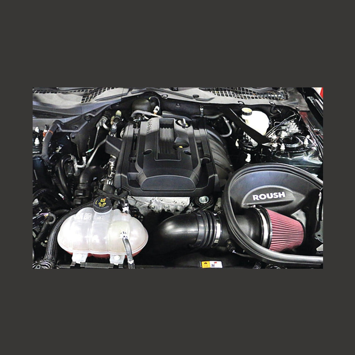 Roush Roush 2015-2017 Ford Mustang 2.3L Cold Air Kit, installed