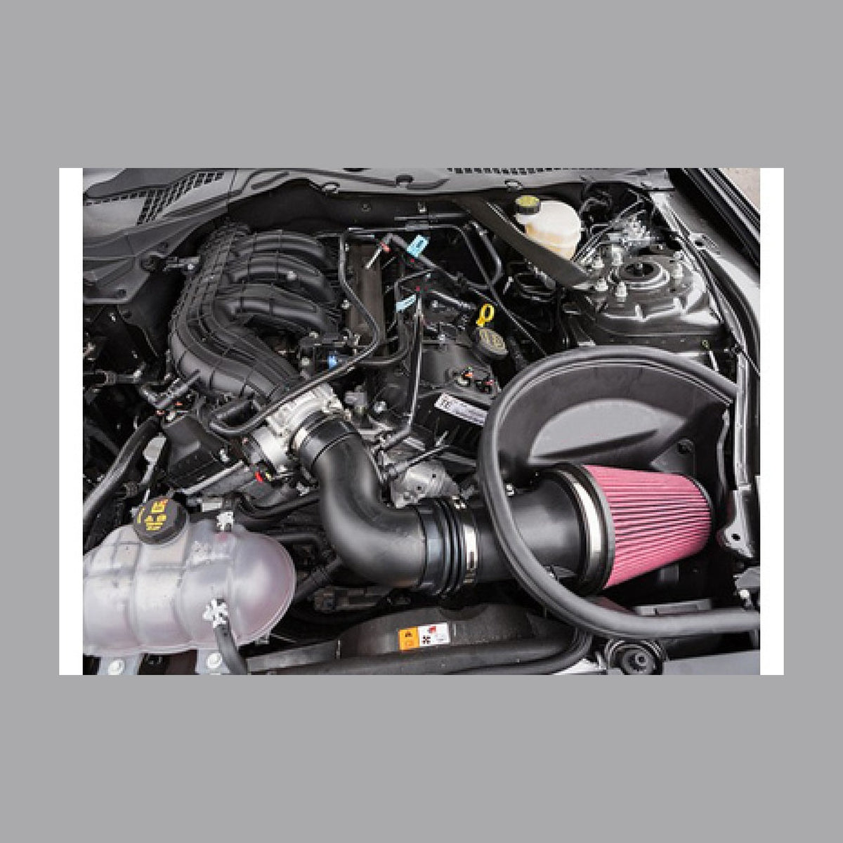 Roush Roush 2015-2017 Ford Mustang 3.7L Cold Air Kit