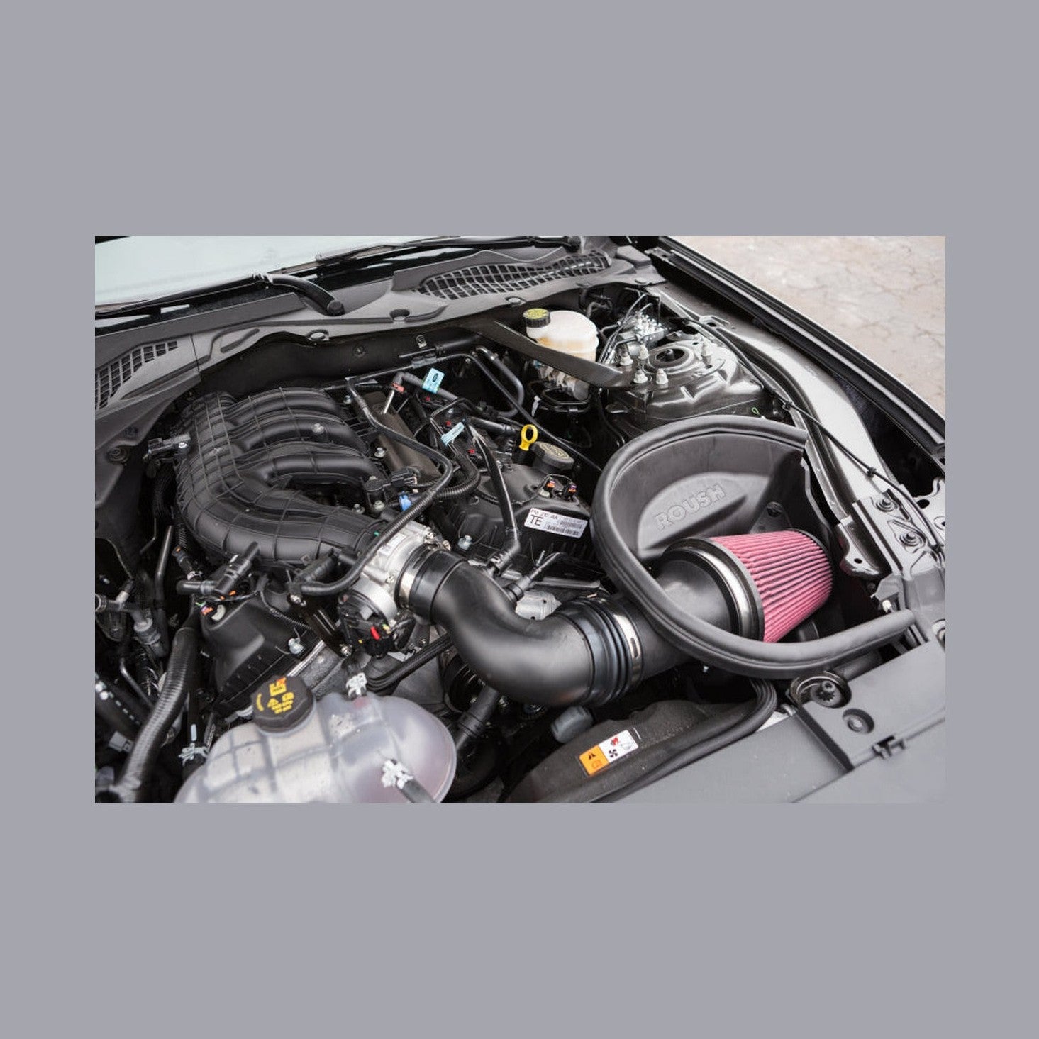 Roush Roush 2015-2017 Ford Mustang 3.7L Cold Air Kit, installed