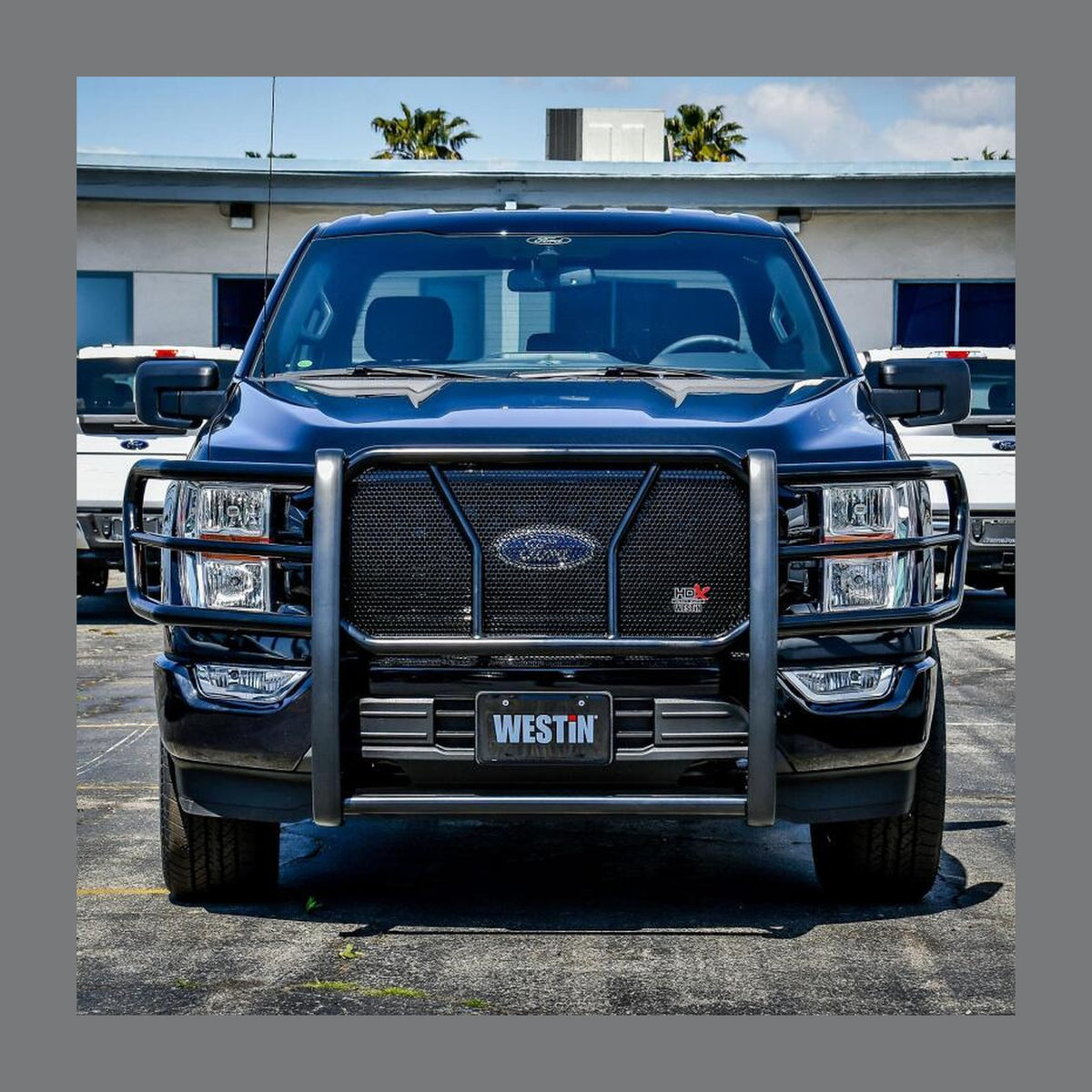 Westin Westin 21-22 Ford F-150 HDX Modular Grille Guard - Black, installed
