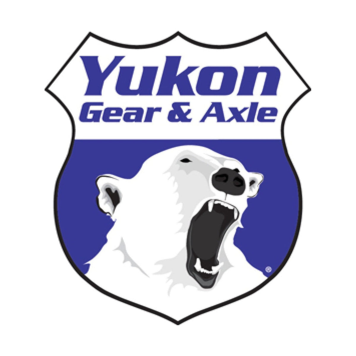 Yukon Gear & Axle Yukon Gear Trao Loc Spring For Ford 8.8in / 31 Spline
