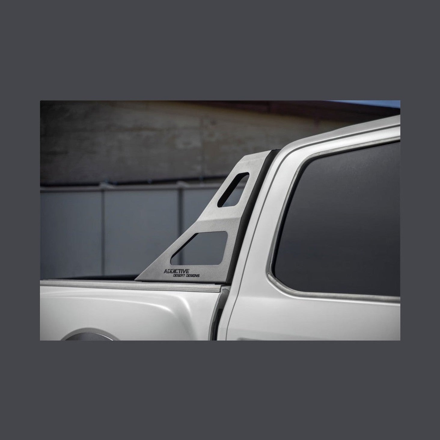 Addictive Desert Designs Addictive Desert Designs 17-19 Ford F-150 Raptor Stealth Fighter Chase Rack, installed