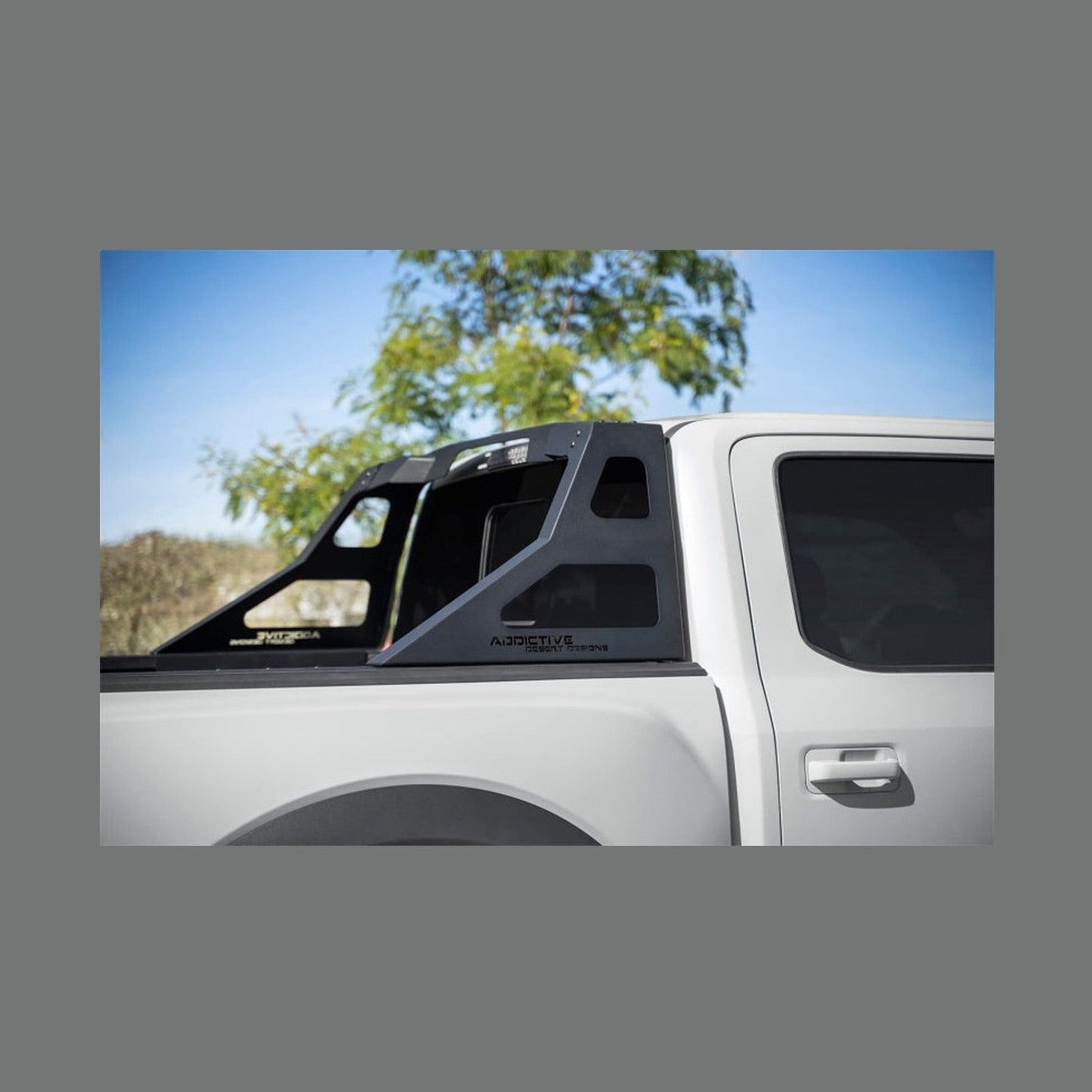 Addictive Desert Designs Addictive Desert Designs 17-19 Ford F-150 Raptor Stealth Fighter Chase Rack, installed