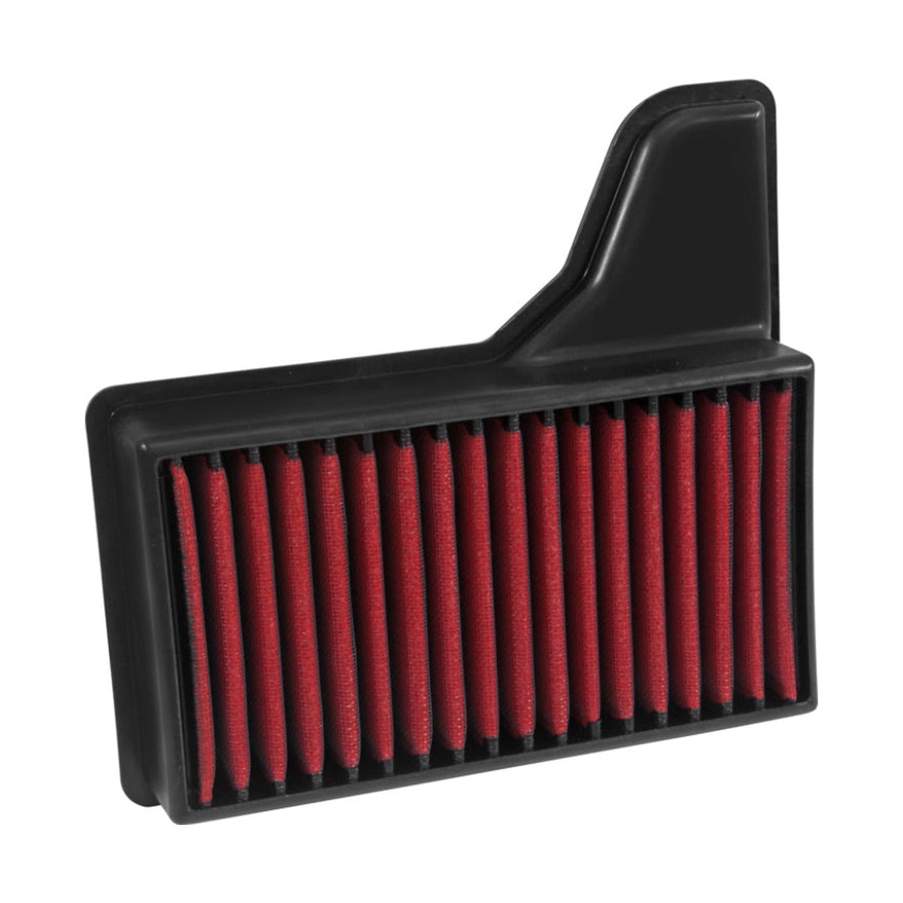 AEM Induction AEM 2015 Ford Mustang 2.3L/3.7L/5.0L Dryflow Air Filter