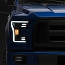 Photo - Close Up