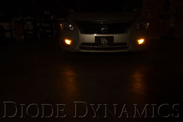 Diode Dynamics 7443 LED Bulb XP80 LED - Amber (Pair)