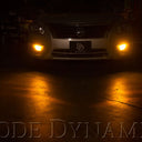 Diode Dynamics 7443 LED Bulb XP80 LED - Amber (Pair)