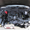 K&N 10 Ford Mustang GT 4.6L-V8 Drop In Air Filter
