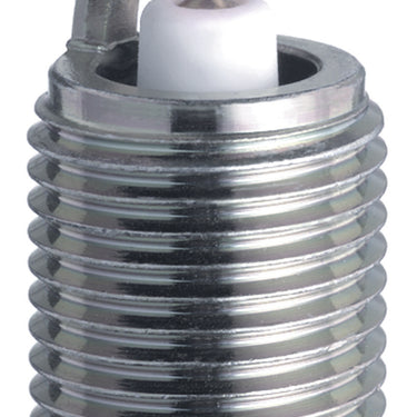 NGK GP Platinum Spark Plug Box of 4 (TR55GP)