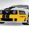 Roush 2005-2009 Ford Mustang Unpainted Front Fascia Kit