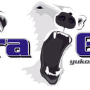 Yukon Gear Dura Grip Positraction For Ford 8.8in w/28 Spline Axles