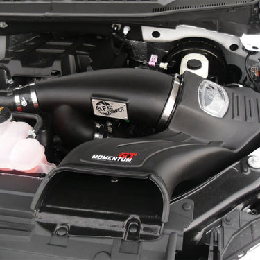 aFe Momentum GT Pro DRY S Intake System 2016 Ford F-150 EcoBoost V6-2.7L/3.5L (tt)