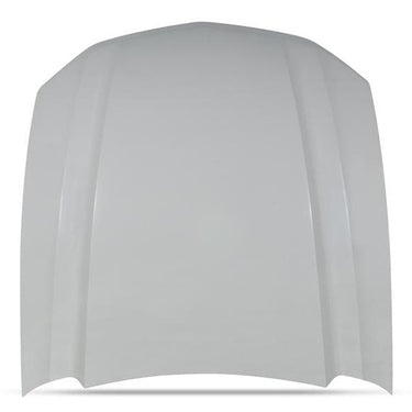10-12 Mustang Cobra R Hood