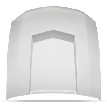 10-12 Mustang C-Series Hood